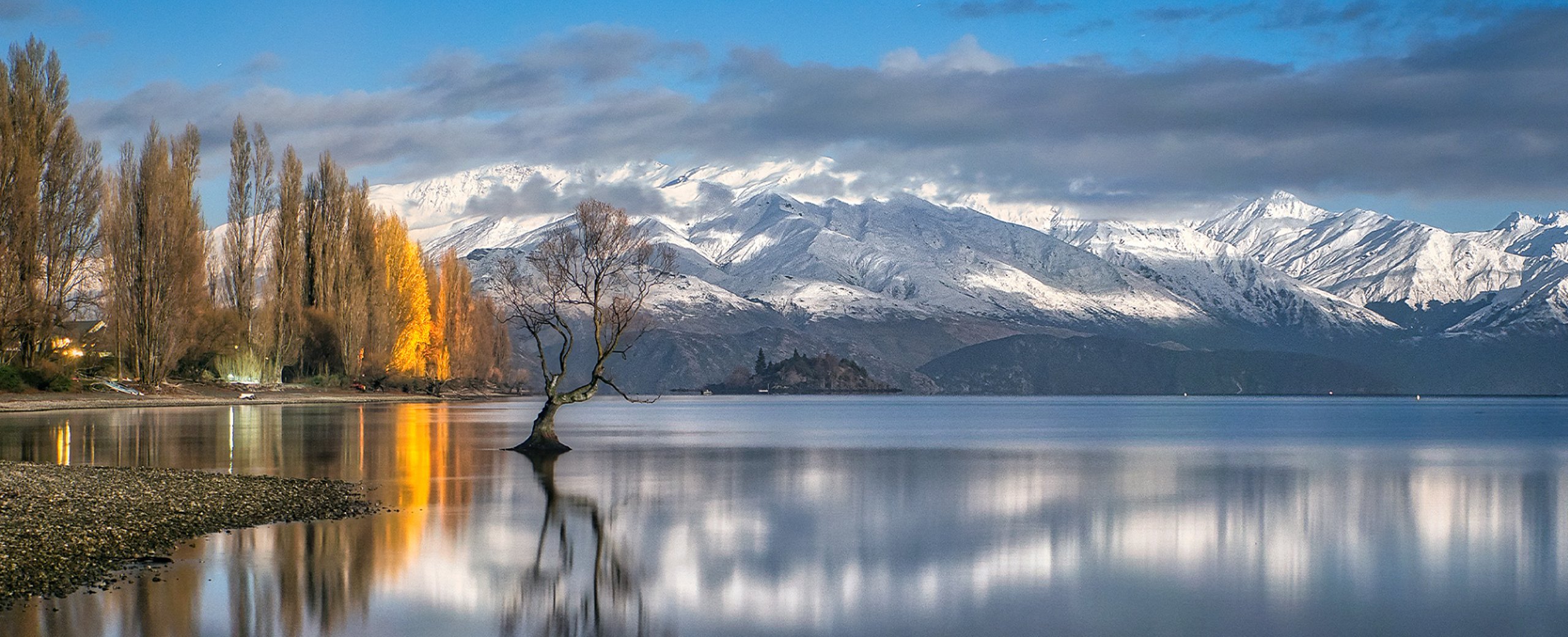 Wanaka tree located close to Cardrona Doctors Medical Practice